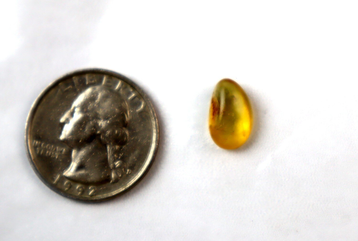 Artisan Polished Mosquito Inclusion In Amber Fossils/Insects 18mm – photo 3