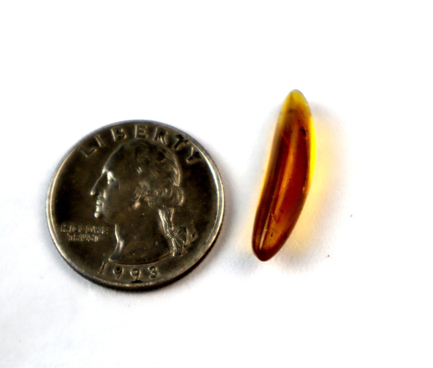 Elegant Fine Fly Inclusion Amber Fossils/Insects 26mm – photo 4