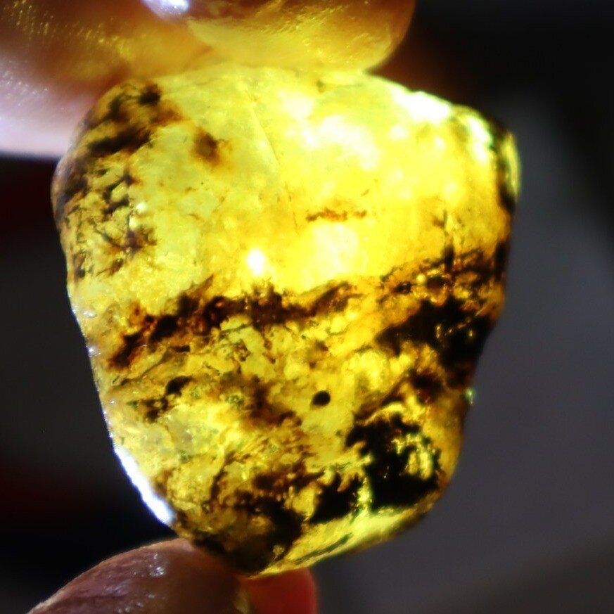 Interested Yellow Blue Dominican Amber Rough Specimen Chunk 37mm 10.6g – photo 4