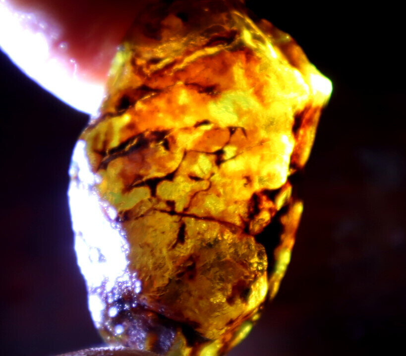 Excellent Natural Dominican Crystal Clear Volcanic Blue Amber Rough Specimen 10g – photo 9
