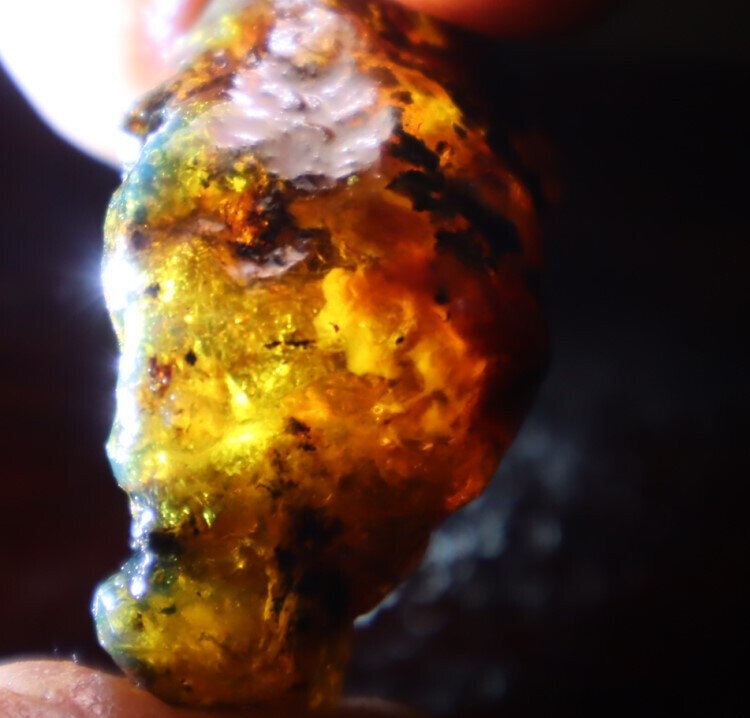 Beautiful Natural Dominican Translucent Sky Blue Amber Rough Specimen 40mm 10g – photo 12