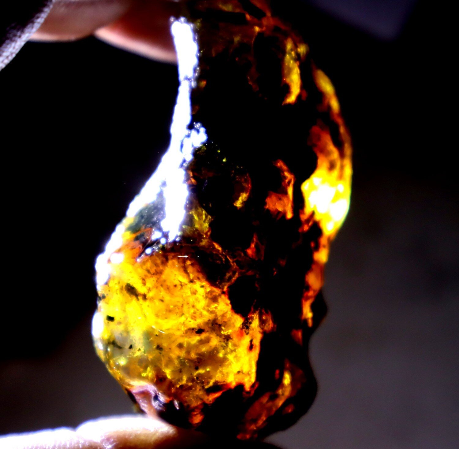 Beautiful Natural Dominican Clear Green Blue Amber Rough Specimen 63mm 31.2g – photo 7