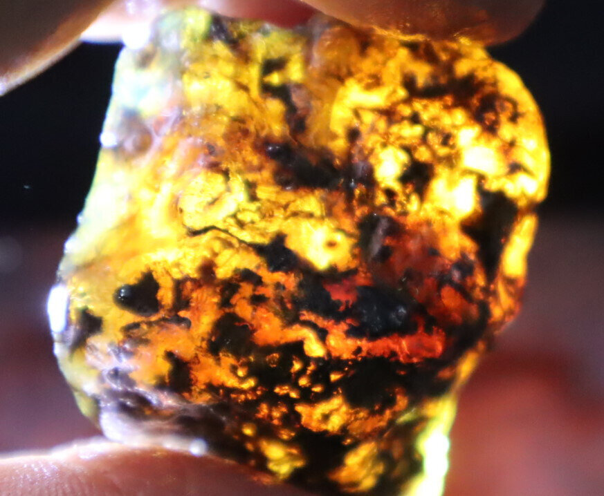 Beautiful Natural Dominican Clear Sky Blue Amber Rough Specimen 41mm 17.1g – photo 11