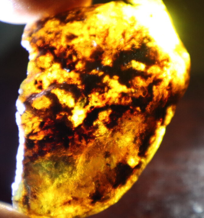 Beautiful Natural Dominican Clear Sky Blue Amber Rough Specimen 47mm 19g – photo 9