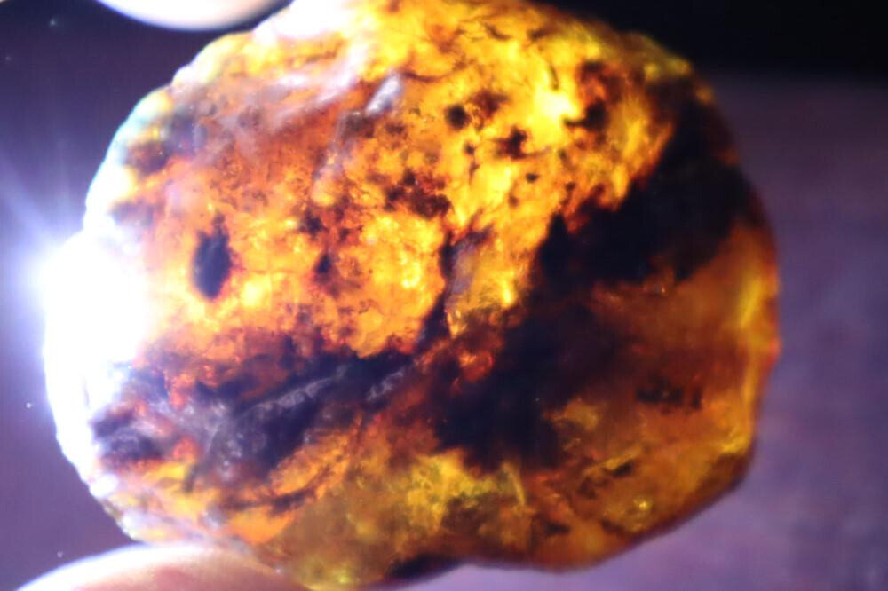 Exquisite Natural Dominican Clear Sky Blue Amber Rough Specimen 48mm 21.5g – photo 5