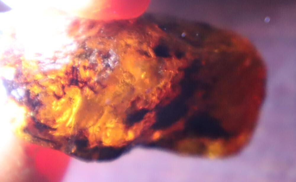 Exquisite Natural Dominican Clear Sky Blue Amber Rough Specimen 48mm 21.5g – photo 6