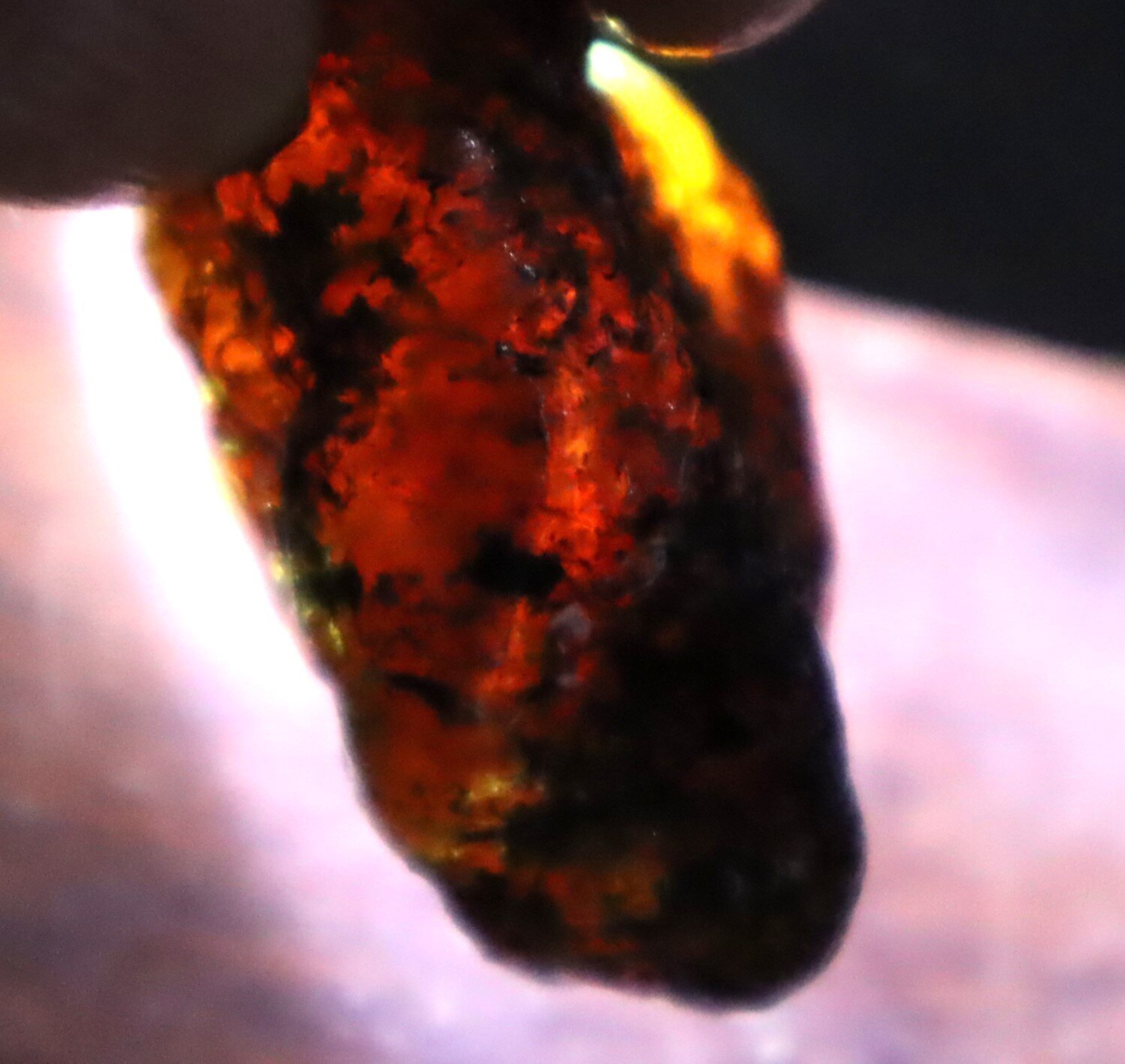 Beautiful Natural Dominican Translucent Ocean Blue Amber Rough Specimen 47mm 19g – photo 6