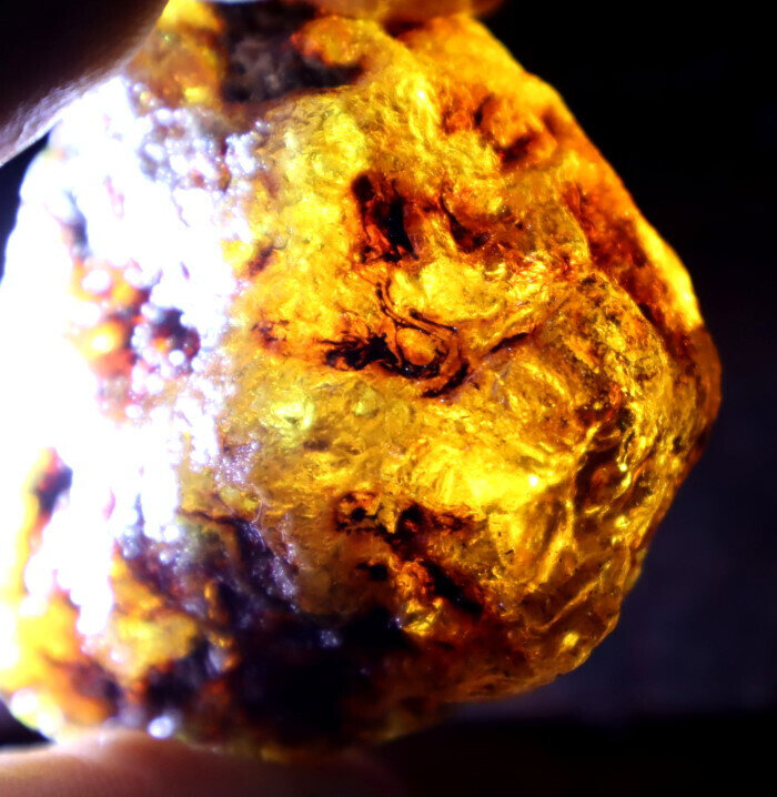 Outstanding Natural Dominican Clear Yellow Blue Amber Rough Specimen 62mm 66g – photo 14