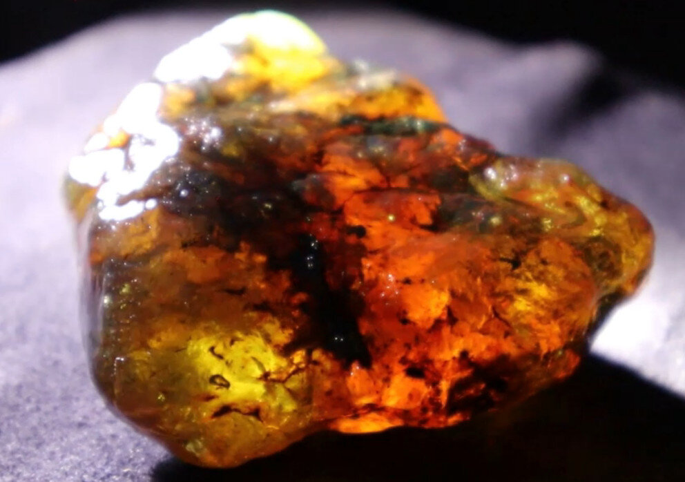 Beautiful Natural Dominican Clear Green Blue Amber Rough Specimen 53mm 31g – photo 16