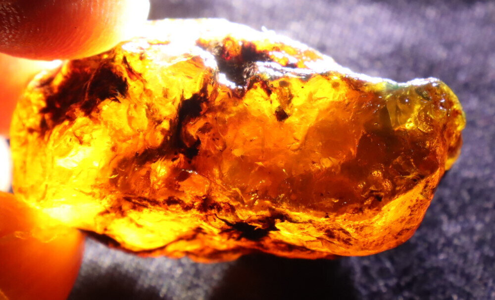 Exquisite Natural Dominican Clear Green Blue Amber Rough Specimen 40mm 13.5g – photo 6