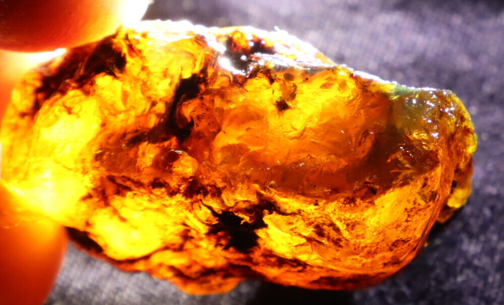 Exquisite Natural Dominican Clear Green Blue Amber Rough Specimen 40mm 13.5g – photo 7