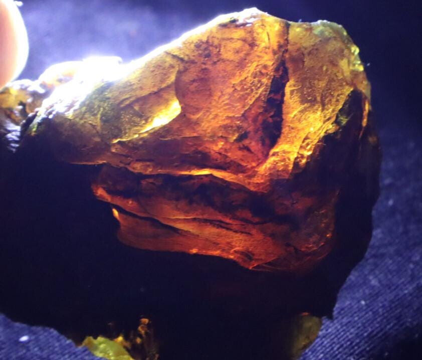Excellent Natural Dominican Clear Sky Blue Amber Rough Specimen 56mm 29g – photo 5
