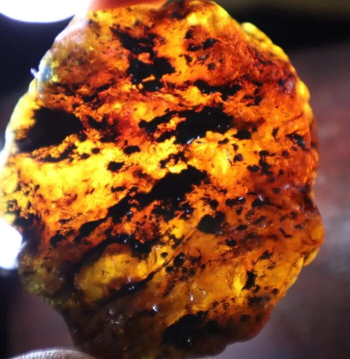 Beautiful Natural Dominican Clear Yellow Blue Amber Rough Specimen 55mm 34.5g – photo 5