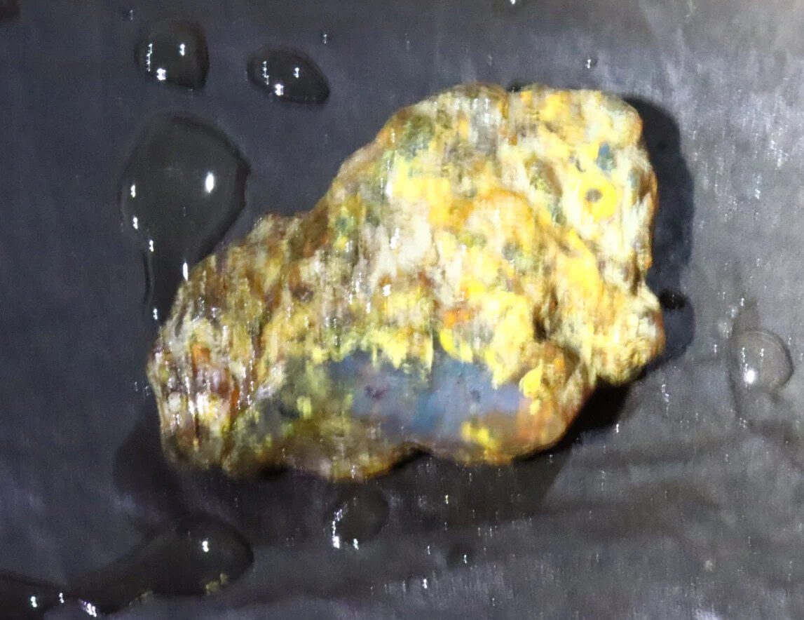 Beautiful Natural Dominican Clear Light Blue Amber Rough Specimen 24mm 6g – photo 4