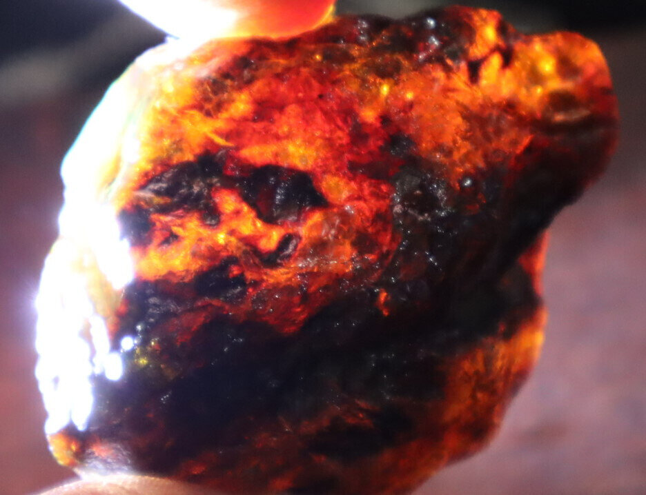 Exquisite Natural Dominican Clear Sky Blue Amber Rough Specimen 56mm 27.4g – photo 12