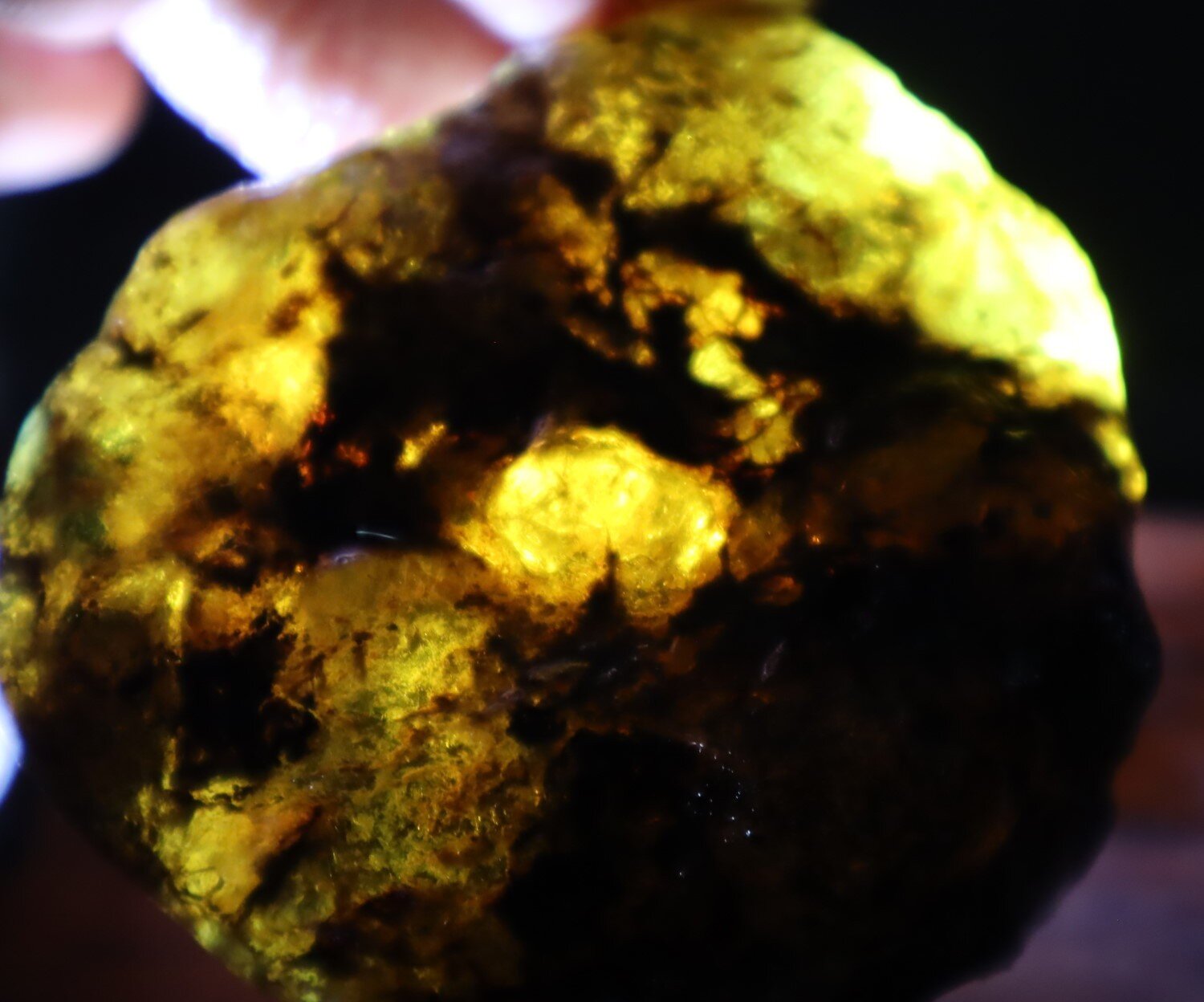 Beautiful Natural Dominican Translucent Sky Blue Amber Rough Specimen 58mm 42.5g – photo 13