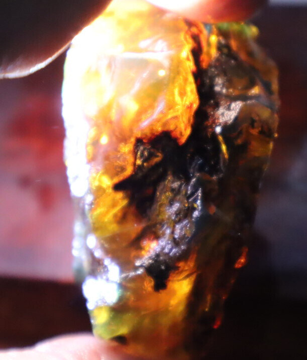 Outstanding Natural Dominican Clear Yellow Blue Amber Rough Specimen 52mm 35.3g – photo 10