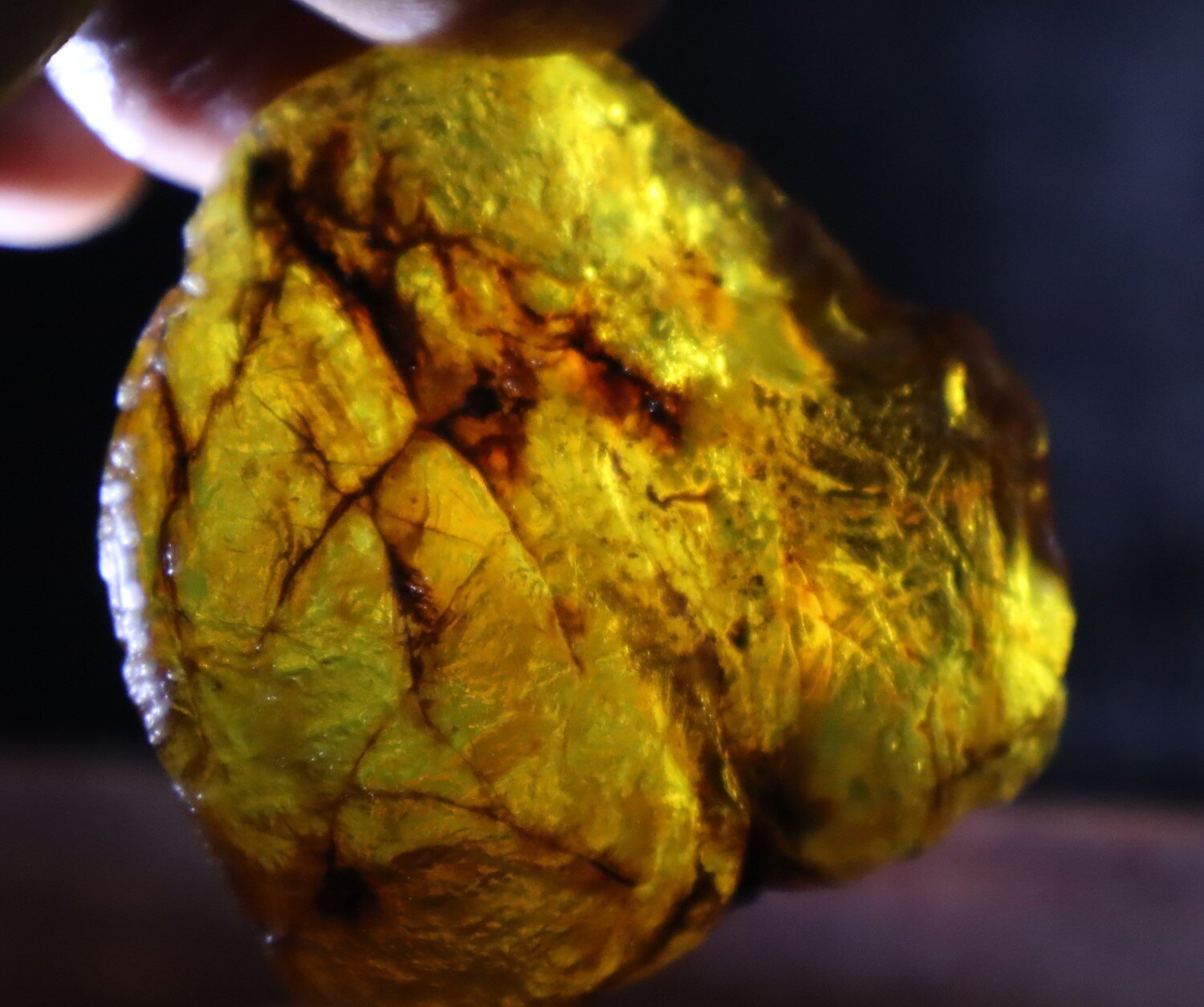 Impressive Natural Dominican Clear Green Blue Amber Rough Specimen 50mm 32.1g – photo 9