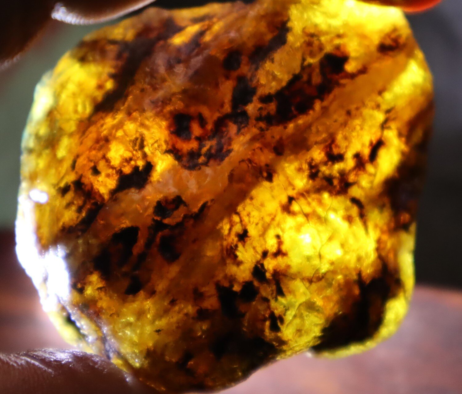 Beautiful Natural Dominican Translucent Yellow Blue Amber Rough Specimen 58mm 34g – photo 4