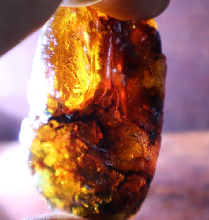 Outstanding Natural Dominican Clear Sky Blue Amber Rough Specimen 53mm 23.4g – photo 9