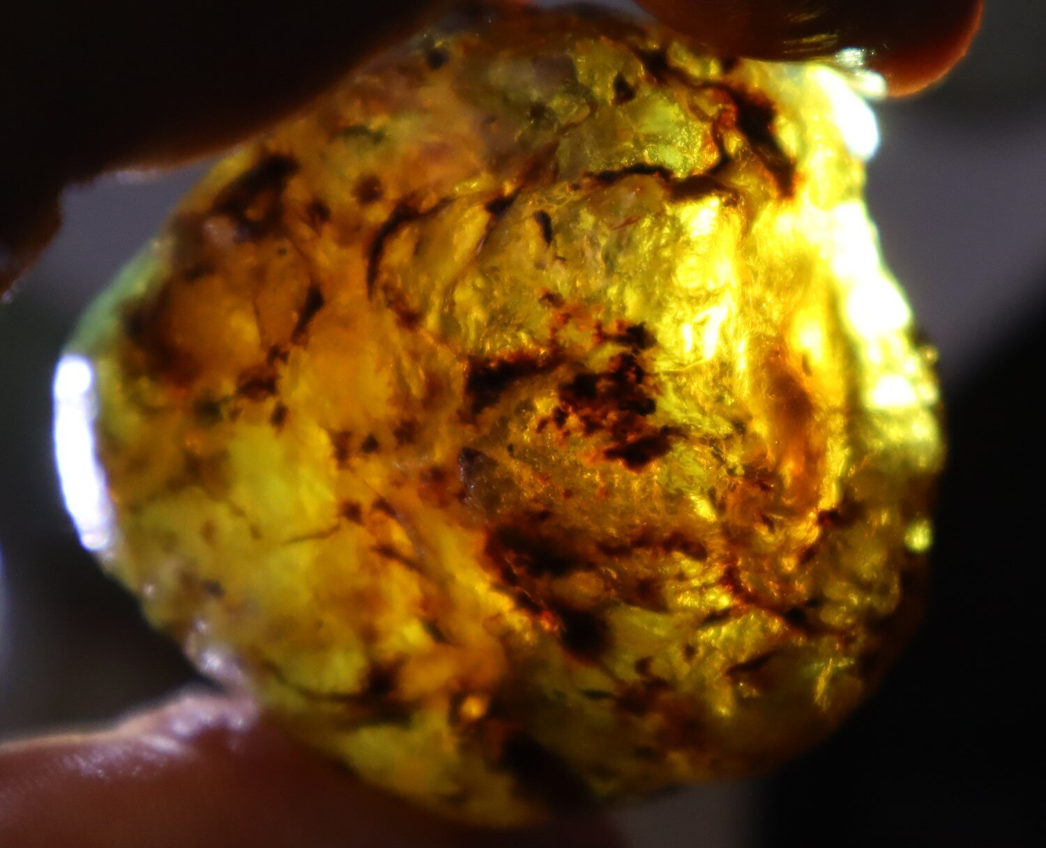 Lovely Natural Dominican Clear Green Blue Amber Rough Specimen 45mm 22g – photo 7