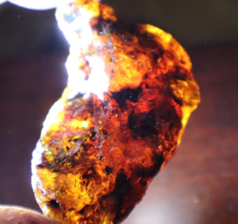 Beautiful Natural Dominican Clear Yellow Blue Amber Rough Specimen 50mm 15g – photo 7
