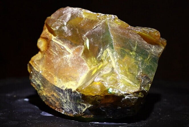 Exquisite Natural Dominican Clear Yellow Amber Rough Specimen 53mm 28g – photo 7