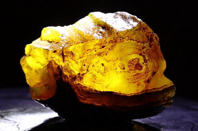 Exquisite Natural Dominican Clear Yellow Amber Rough Specimen 53mm 28g – photo 10
