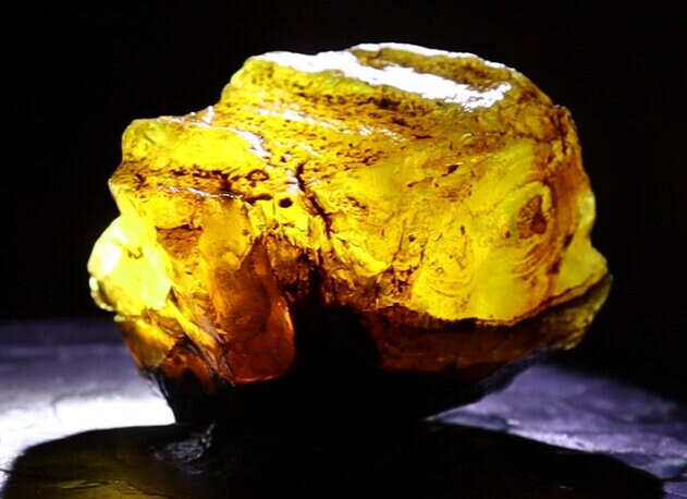 Exquisite Natural Dominican Clear Yellow Amber Rough Specimen 53mm 28g – photo 11