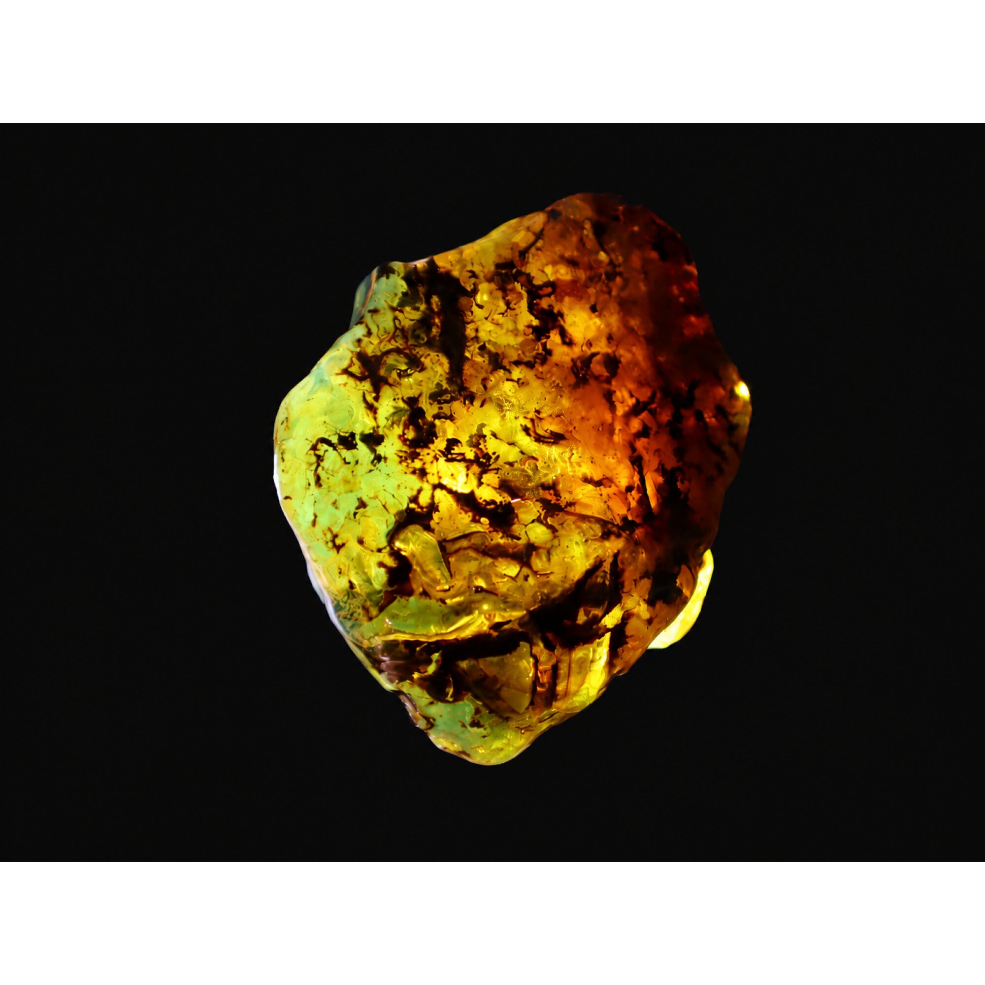 Pure Natural Clear Sky Blue Dominican Amber Stones 55mm 23.2g – photo 7