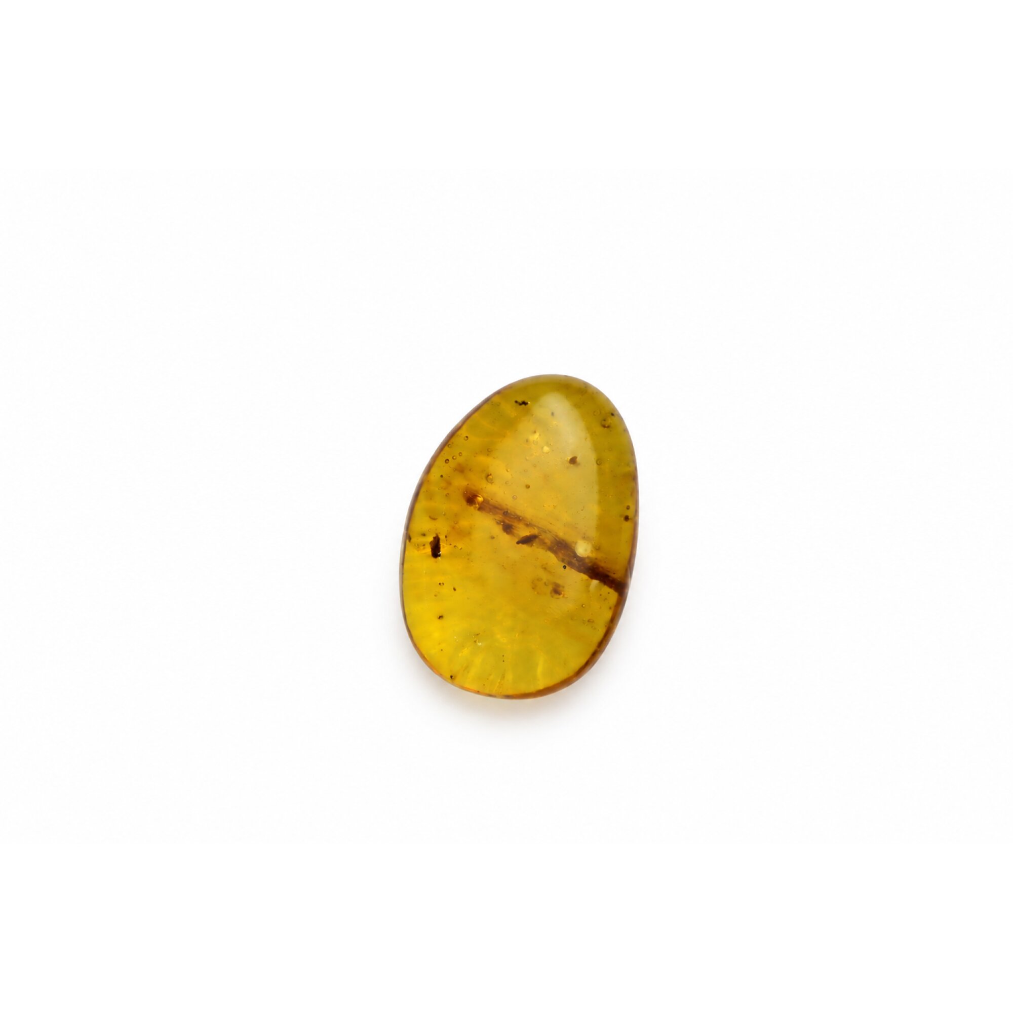Real yellow Dominican amber insect stone 24mm – photo 6