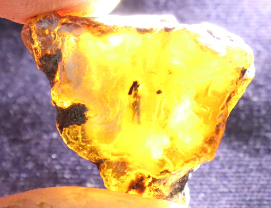 Beautiful Natural Dominican Clear Light Blue Amber Rough Specimen 24mm 6g – photo 10