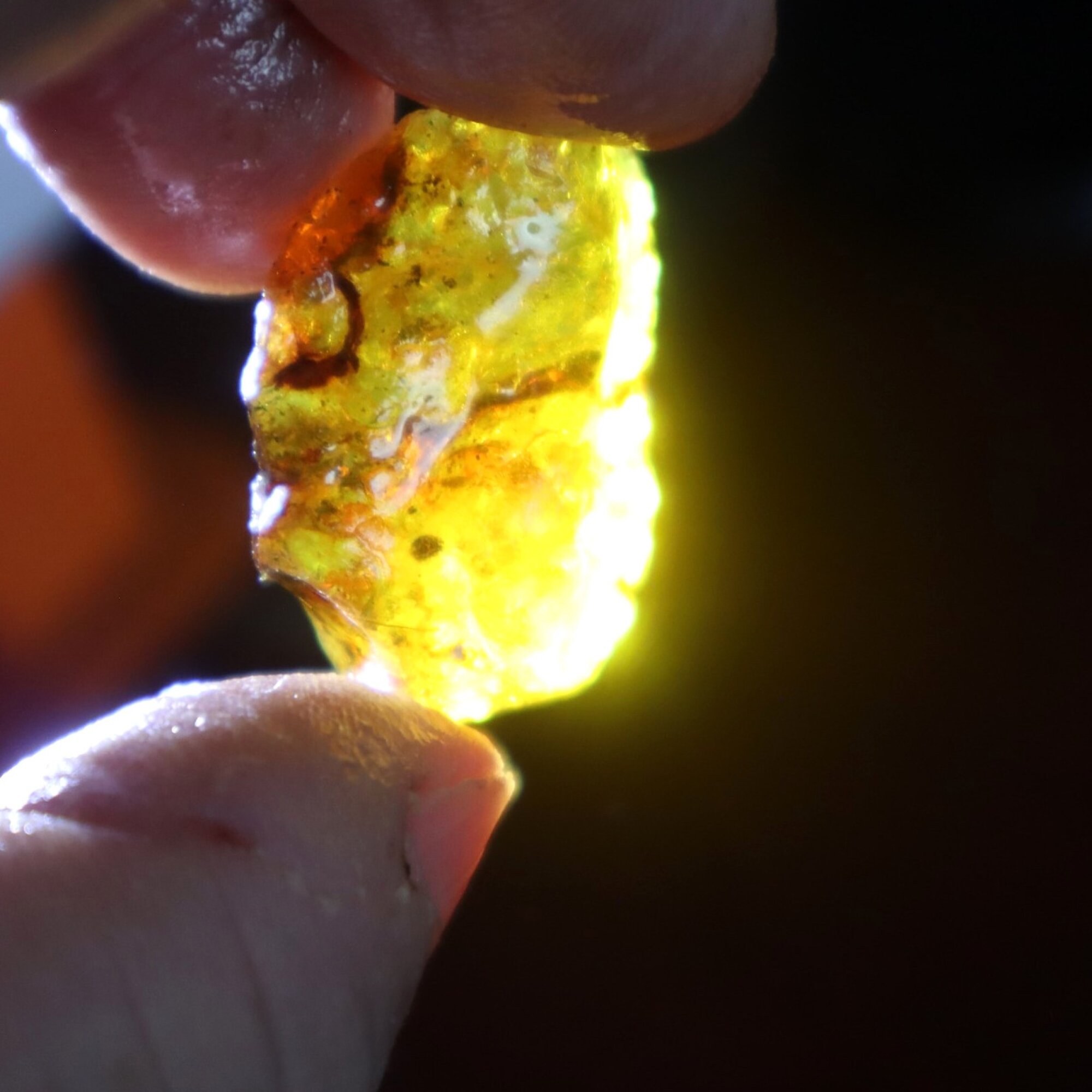 Genuine sky blue rough specimen Dominican amber 30mm – photo 9
