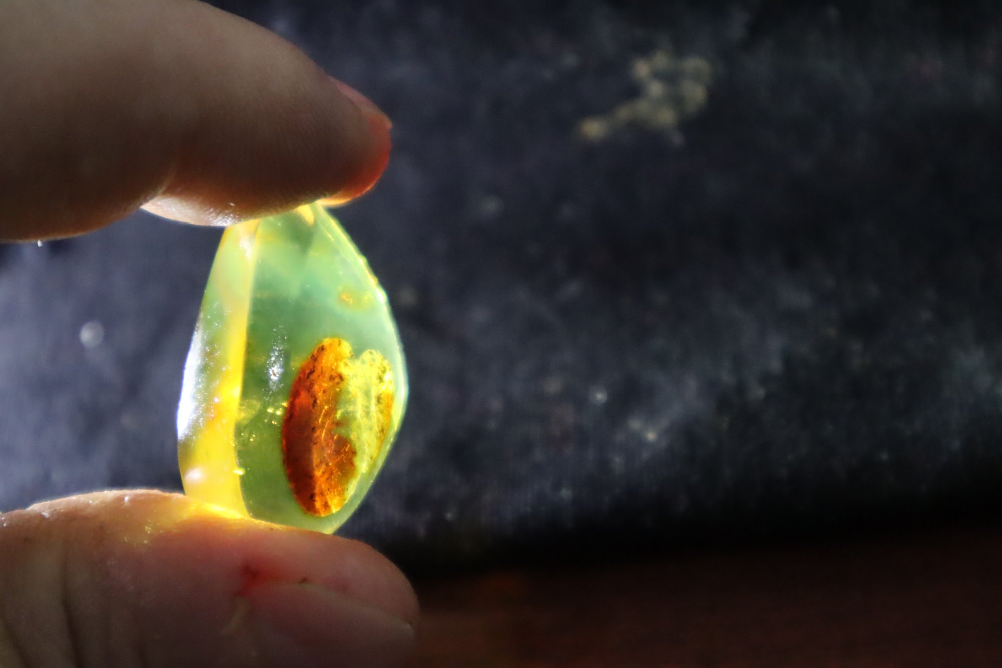 Real orange green polished Dominican amber 31mm – photo 13