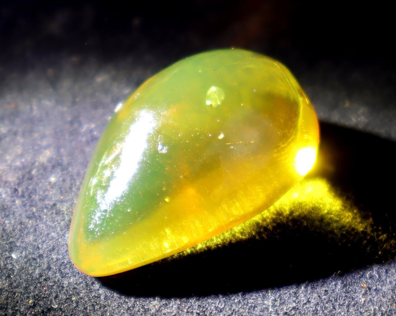 🦋 Natural Dominican Golden Amber with Preserved Organic Inclusion – 34mm 🦋 – photo 6
