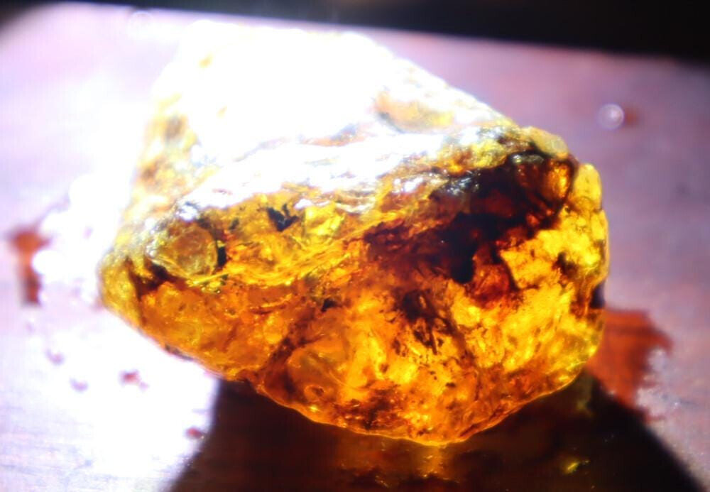Excellent Natural Dominican Clear Sky Blue Amber Rough Specimen 35mm 12.2g – photo 6