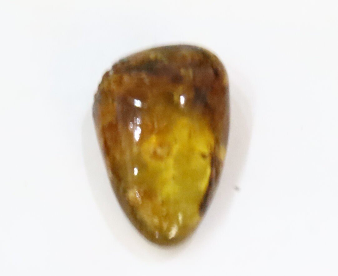 Beautiful Natural Dominican Translucent Cognac Green Amber Polished Stone 21mm – photo 5