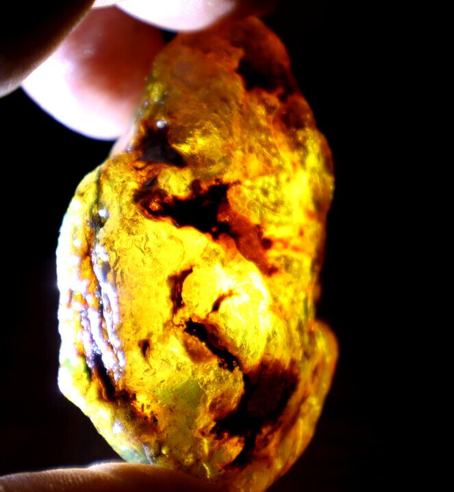 Excellent Natural Dominican Crystal Clear Green Blue Amber Rough Specimen 31gram – photo 12