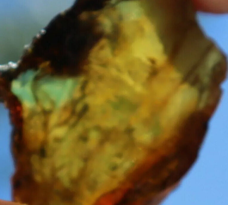 Exquisite Natural Dominican Clear Blue Amber Rough Specimen 38mm 5.5g – photo 3