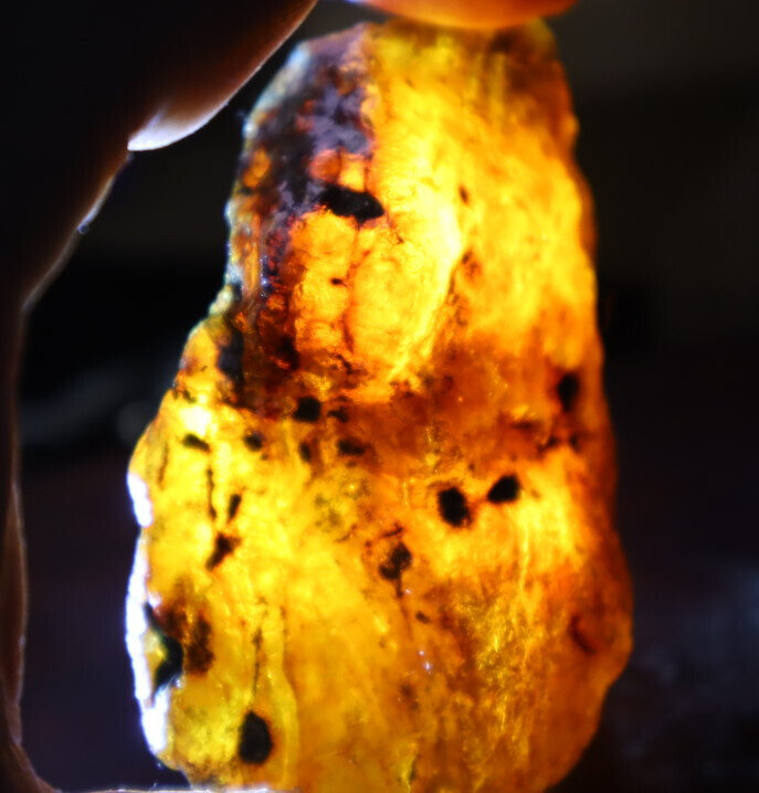 Impressive Natural Dominican Clear Green Blue Amber Rough Specimen 66mm 42.9g – photo 13