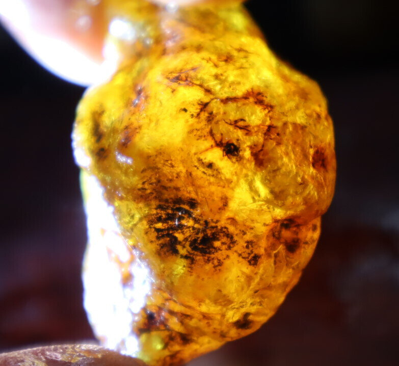 Natural Dominican Crystal Clear Light Blue Yellow Amber Rough Specimen 45mm 21g – photo 11