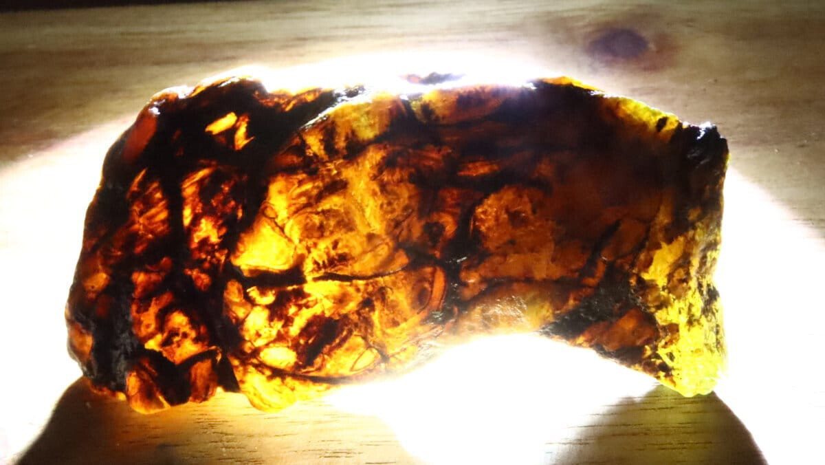 Lovely Natural Dominican Clear Deep Blue Amber Rough Specimen 65mm 16.5g – photo 10