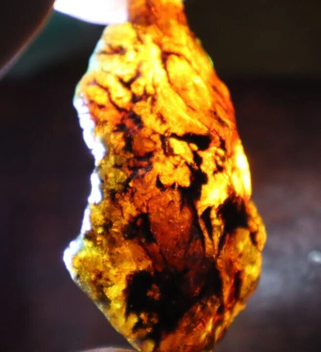 Beautiful Natural Dominican Clear Yellow Blue Amber Rough Specimen 43mm 19.7g – photo 5