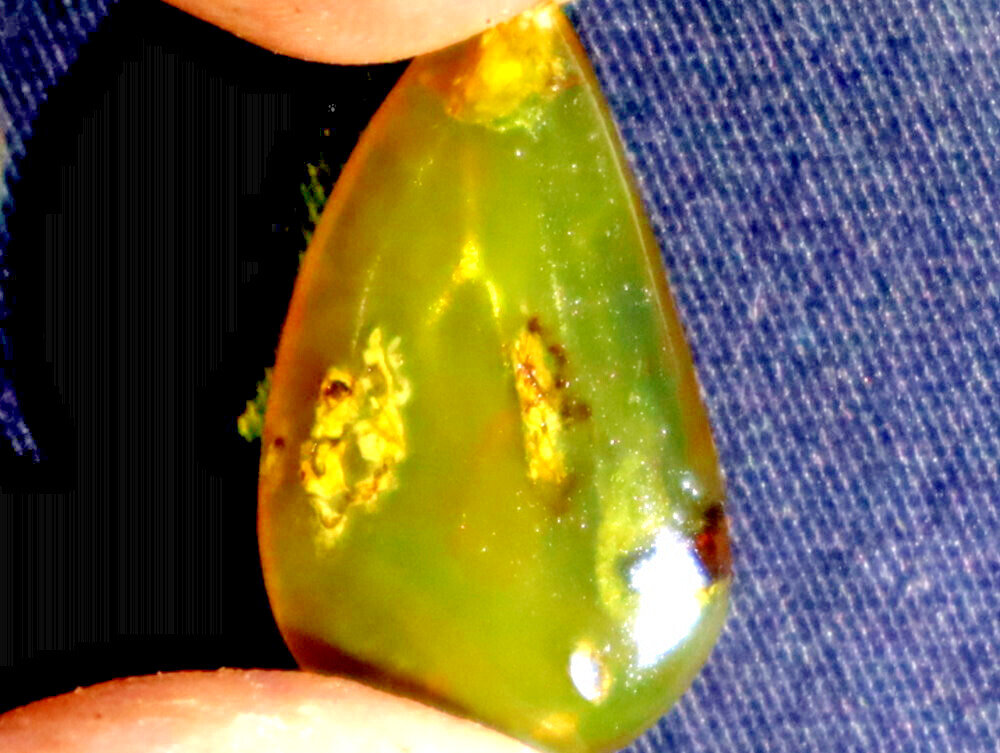 Exquisite Natural Dominican Clear Deep Green Amber Polished Stone 31mm – photo 4