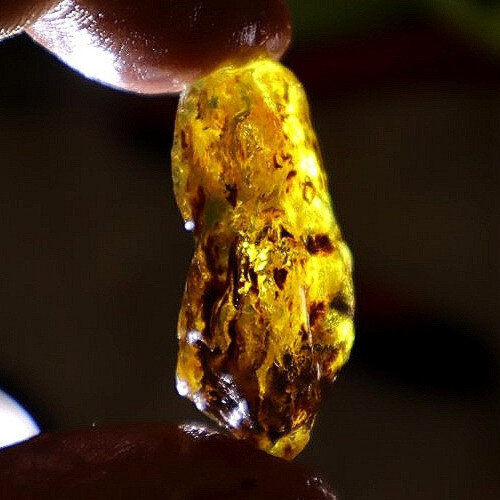 Natural Dominican Blue Amber Rough Specimen 35mm 3.6g Yellow – photo 6