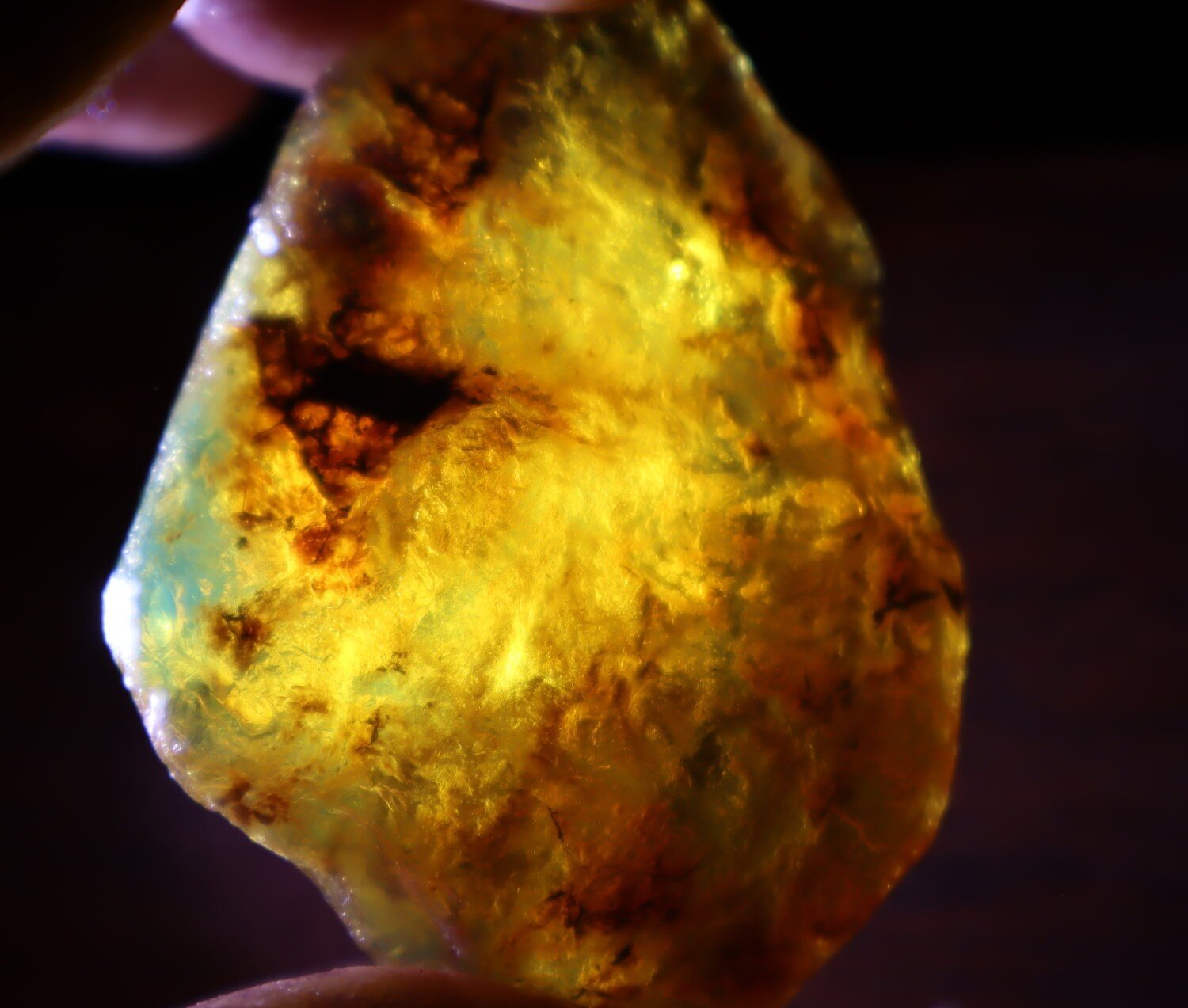 Natural Dominican Blue Green Amber Rough Specimen 60mm 20.5g Clear – photo 14