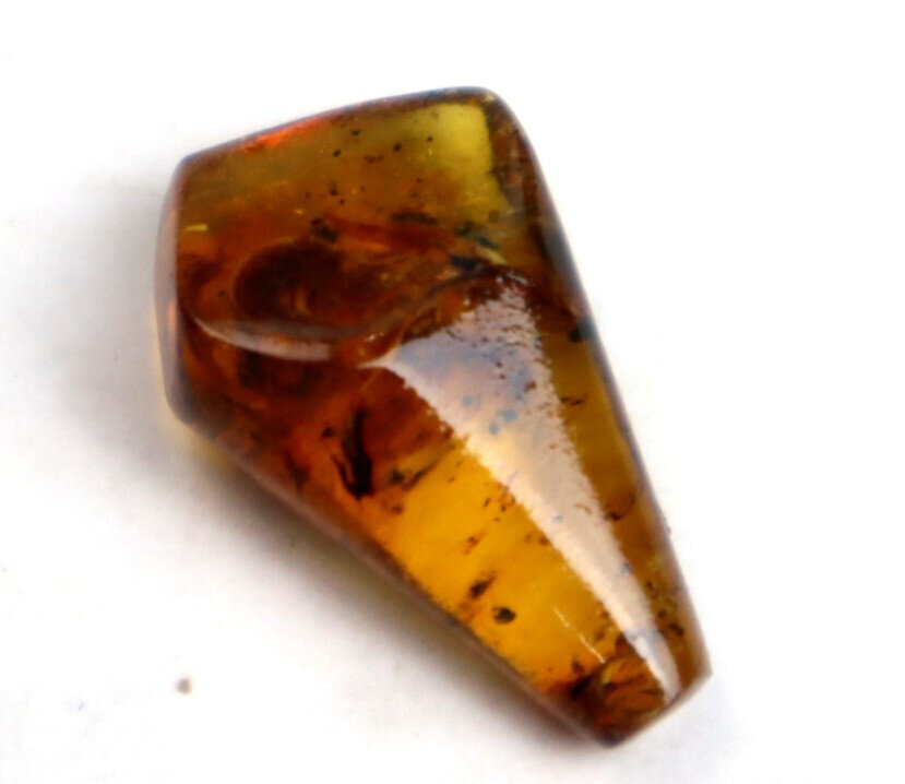 Rarest Natural Dominican Clear Orange Brown Amber Polished Pendant Stone 24mm – photo 7