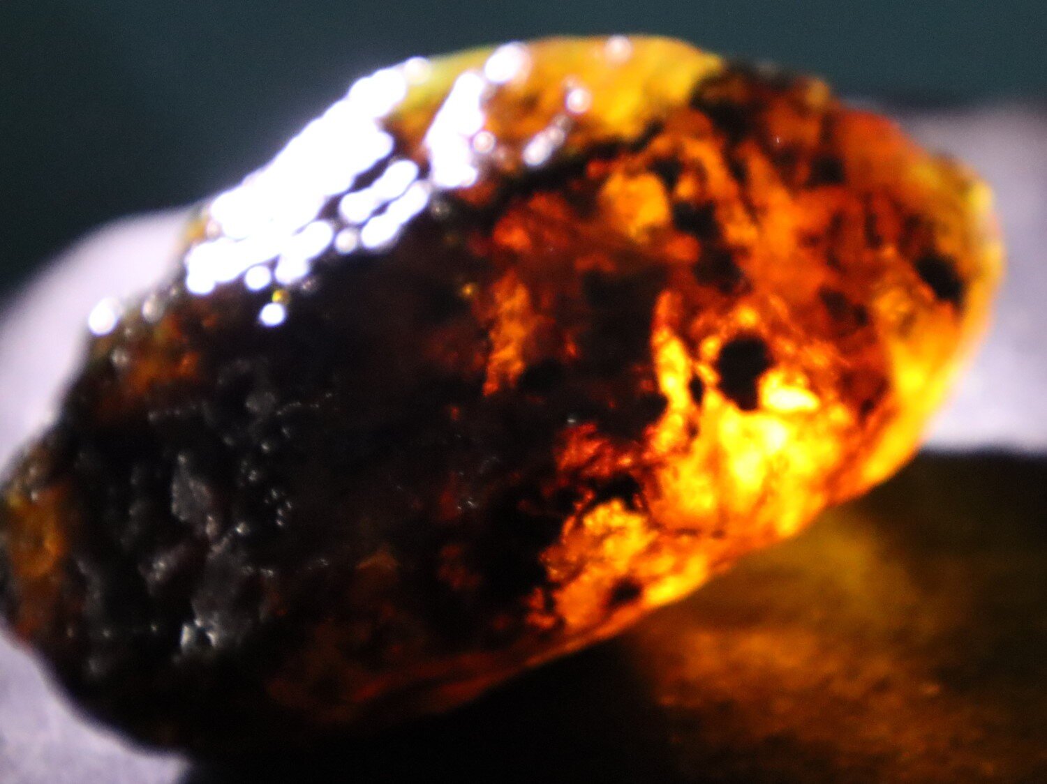 Beautiful Natural Dominican Clear Green Blue Amber Rough Specimen 75mm 59g – photo 9