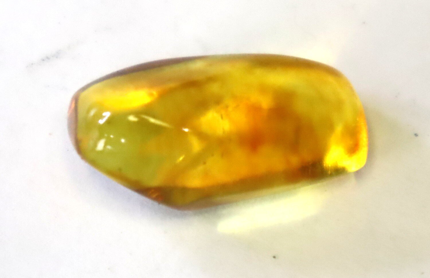 🪶 Rare Fossil Male Midge in Natural Dominican Yellow Amber 22mm – photo 4