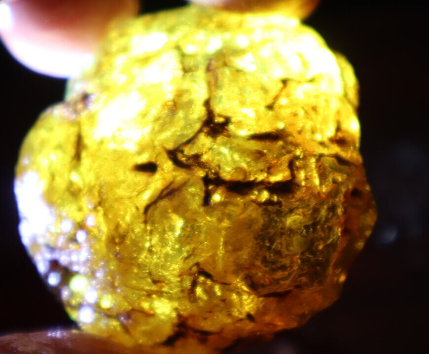 Natural Dominican Crystal Clear Light Blue Yellow Amber Rough Specimen 40mm 20.5 – photo 7